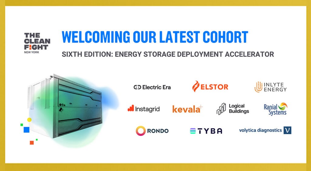 Logos of new members of The Clean Fight NY